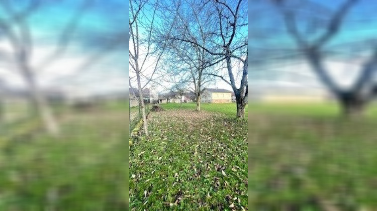 Ma-Cabane - Vente Terrain Osenbach, 1000 m²