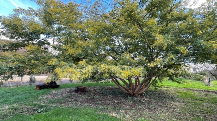 Ma-Cabane - Vente Terrain OSNY, 450 m²