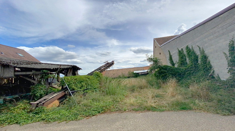 Ma-Cabane - Vente Terrain Osthoffen, 1106 m²