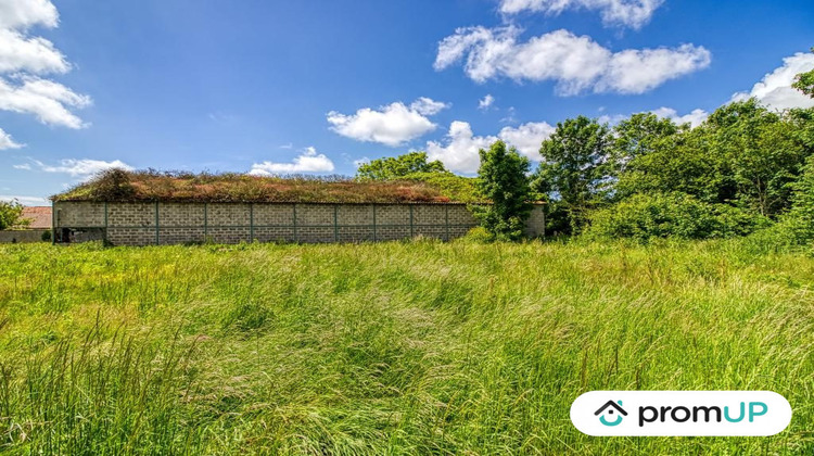 Ma-Cabane - Vente Terrain Oye-Plage, 555 m²