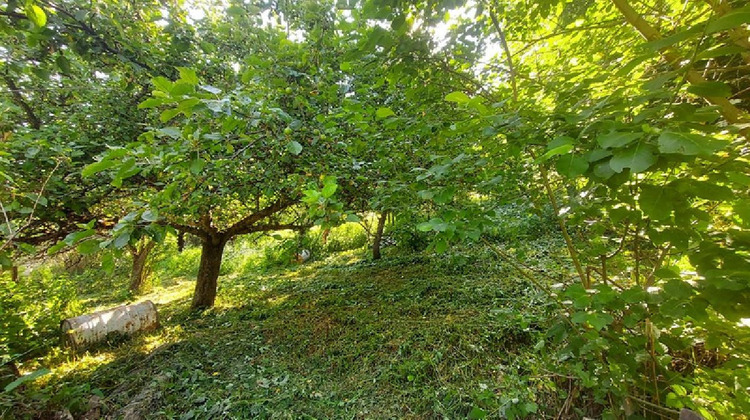 Ma-Cabane - Vente Terrain OZ, 744 m²