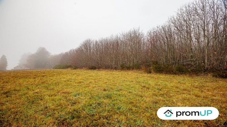 Ma-Cabane - Vente Terrain Pageas, 7868 m²