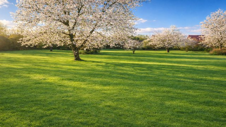 Ma-Cabane - Vente Terrain Pagny-le-Château, 3197 m²
