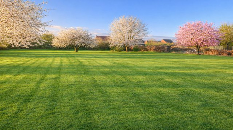 Ma-Cabane - Vente Terrain Pagny-le-Château, 3197 m²