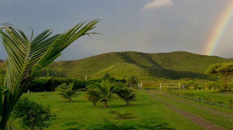 Ma-Cabane - Vente Terrain Païta, 2400 m²