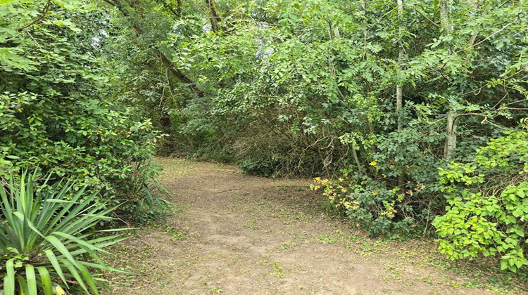 Ma-Cabane - Vente Terrain PALAISEAU, 1285 m²