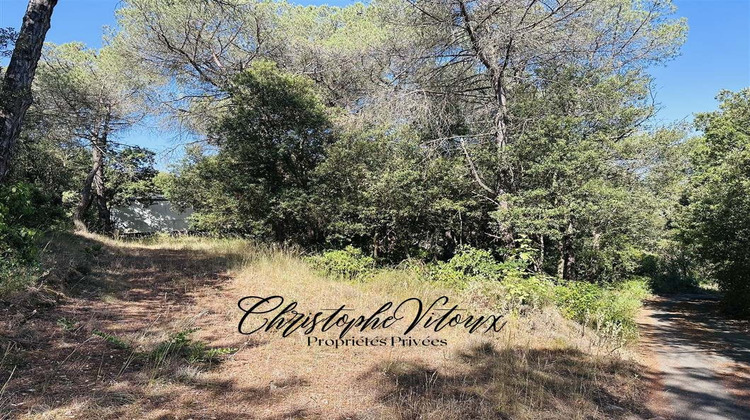 Ma-Cabane - Vente Terrain PALAJA, 0 m²