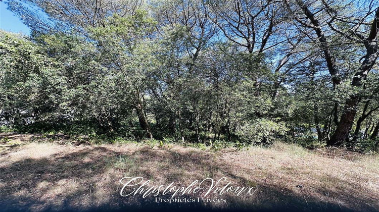 Ma-Cabane - Vente Terrain PALAJA, 0 m²