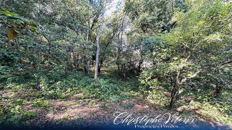 Ma-Cabane - Vente Terrain PALAJA, 0 m²