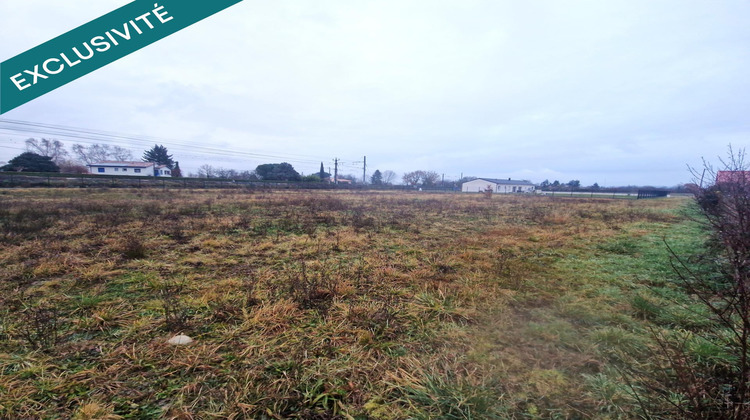 Ma-Cabane - Vente Terrain Palaminy, 2529 m²