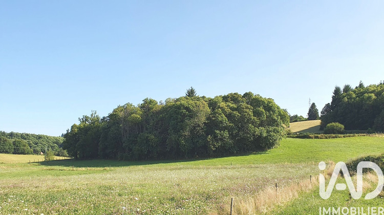 Ma-Cabane - Vente Terrain Palazinges, 3002 m²