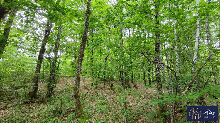 Ma-Cabane - Vente Terrain Palisse, 2500 m²