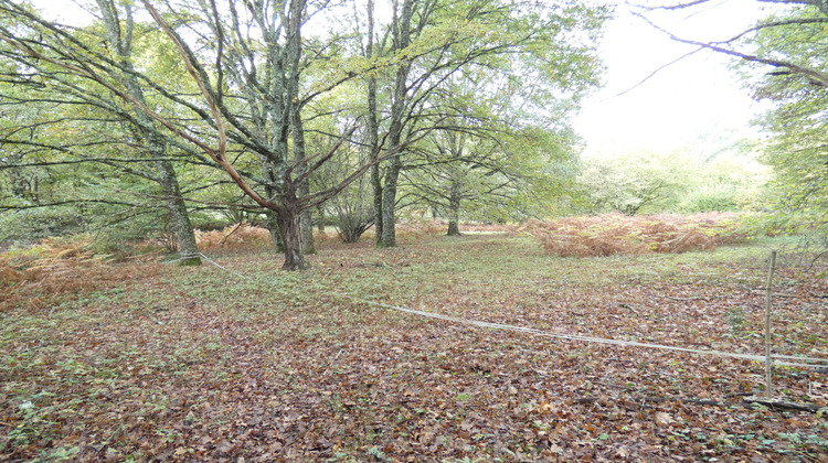 Ma-Cabane - Vente Terrain Panazol, 6411 m²