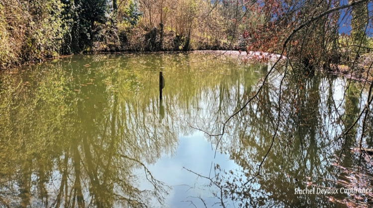 Ma-Cabane - Vente Terrain PANCE, 18756 m²