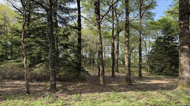 Ma-Cabane - Vente Terrain Pancé, 2450 m²