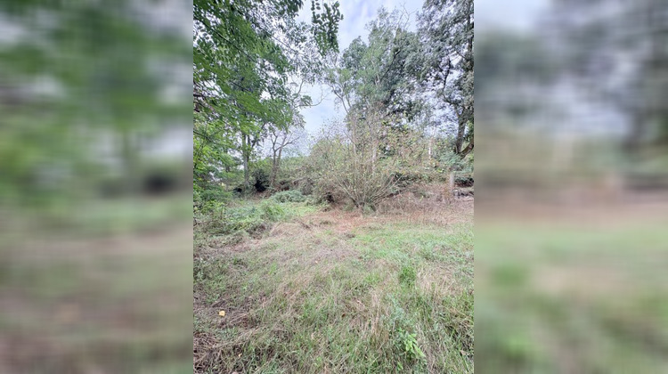 Ma-Cabane - Vente Terrain PANNECE, 1851 m²