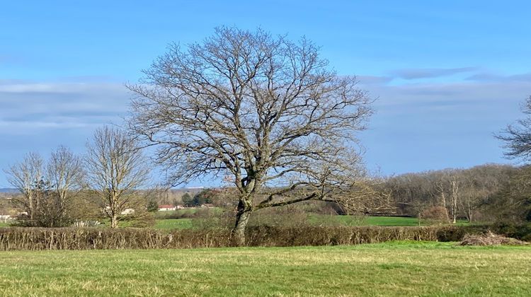 Ma-Cabane - Vente Terrain PARAY LE MONIAL, 2150 m²