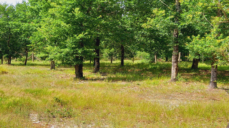 Ma-Cabane - Vente Terrain PARENTIS-EN-BORN, 725 m²