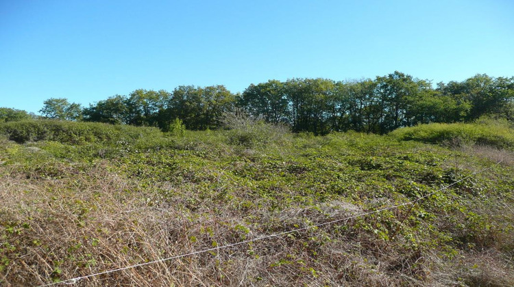 Ma-Cabane - Vente Terrain PARISOT, 5345 m²