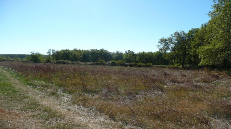 Ma-Cabane - Vente Terrain PARISOT, 5345 m²