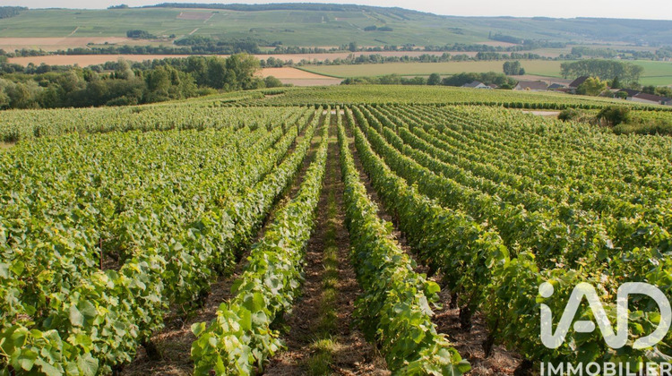 Ma-Cabane - Vente Terrain Passy Grigny, 5023 m²