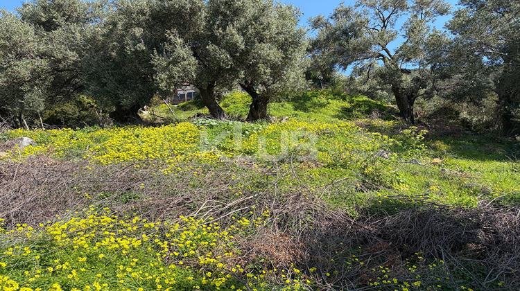 Ma-Cabane - Vente Terrain PATRIMONIO, 910 m²