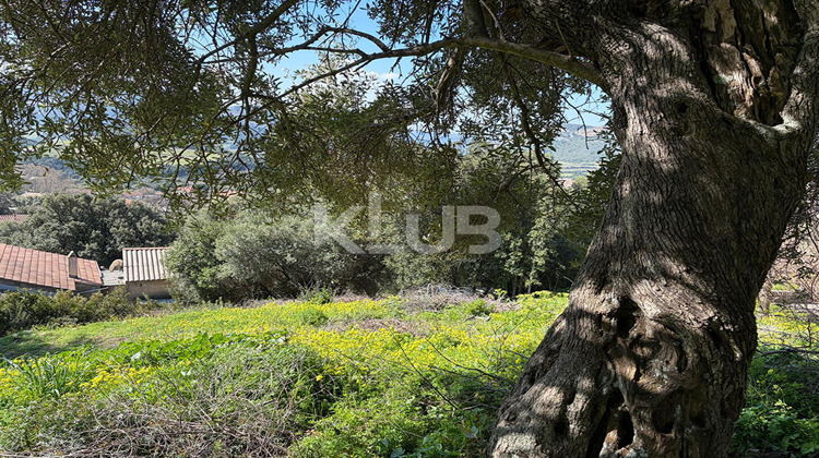 Ma-Cabane - Vente Terrain PATRIMONIO, 910 m²