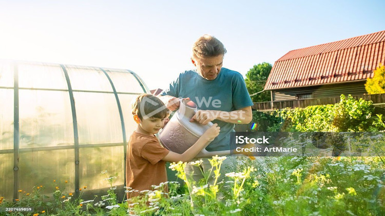 Ma-Cabane - Vente Terrain Pau, 225 m²