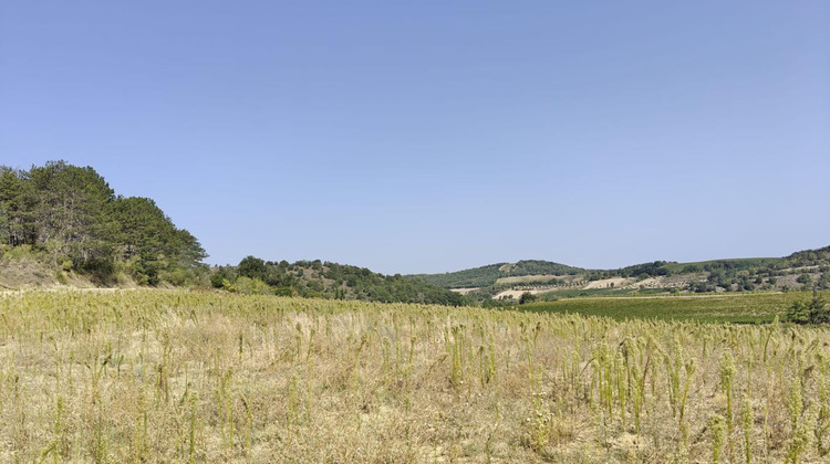 Ma-Cabane - Vente Terrain PAULIGNE, 10175 m²