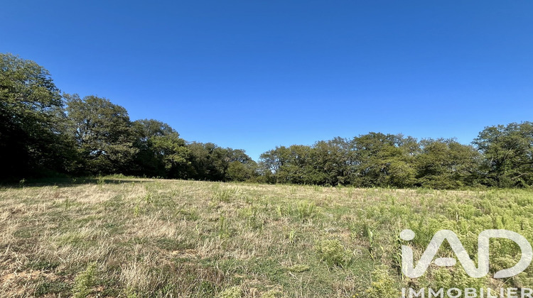 Ma-Cabane - Vente Terrain Paulin, 4396 m²
