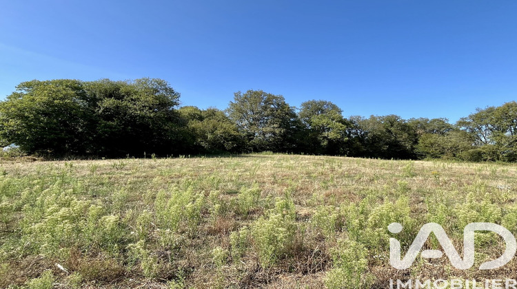 Ma-Cabane - Vente Terrain Paulin, 4396 m²