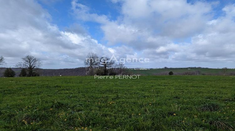 Ma-Cabane - Vente Terrain PAULINET, 1134 m²