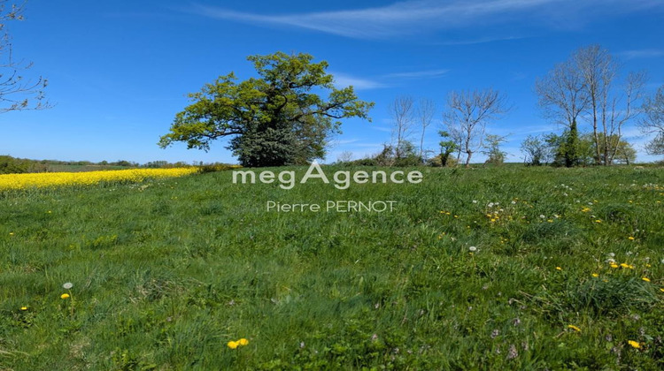 Ma-Cabane - Vente Terrain PAULINET, 1134 m²