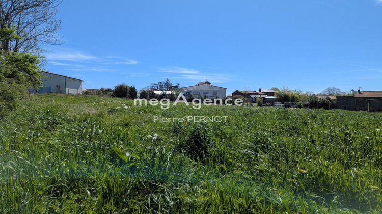 Ma-Cabane - Vente Terrain PAULINET, 1134 m²