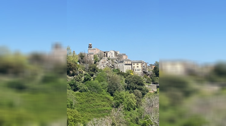 Ma-Cabane - Vente Terrain Penta-di-Casinca, 3000 m²