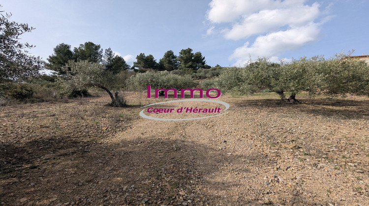 Ma-Cabane - Vente Terrain PERET, 4920 m²