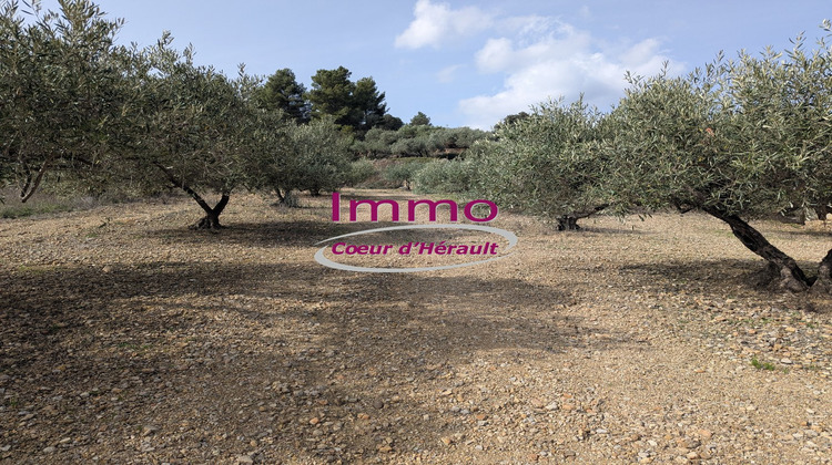 Ma-Cabane - Vente Terrain PERET, 4920 m²