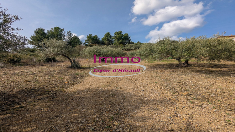 Ma-Cabane - Vente Terrain PERET, 4920 m²