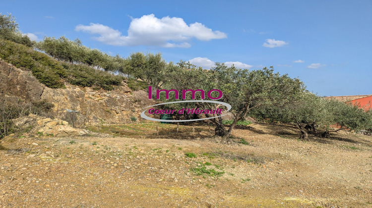 Ma-Cabane - Vente Terrain PERET, 4920 m²