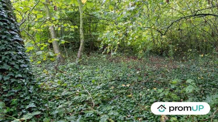 Ma-Cabane - Vente Terrain Péronne, 1205 m²