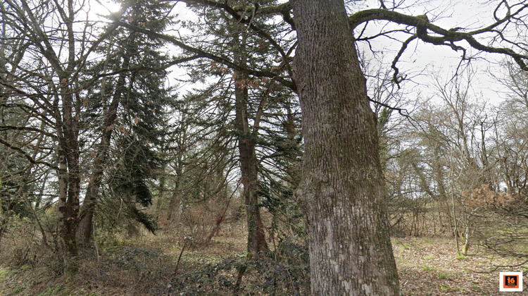 Ma-Cabane - Vente Terrain Peschadoires, 2504 m²