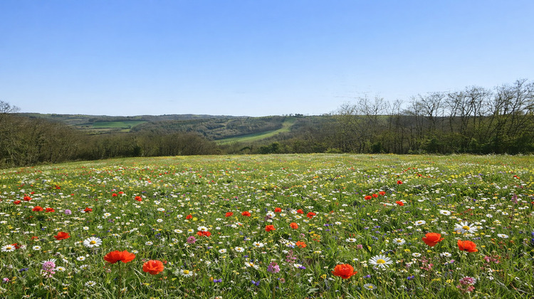 Ma-Cabane - Vente Terrain PESSAN, 9886 m²
