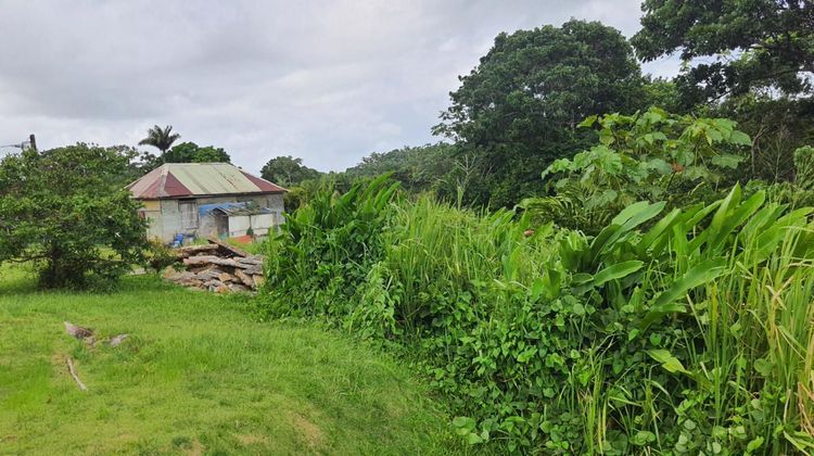 Ma-Cabane - Vente Terrain PETIT BOURG, 3000 m²