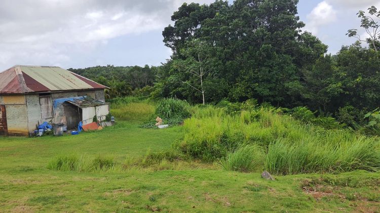 Ma-Cabane - Vente Terrain PETIT BOURG, 3000 m²