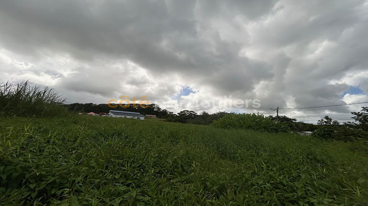 Ma-Cabane - Vente Terrain PETIT-BOURG, 654 m²