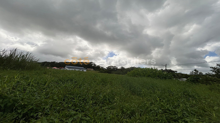 Ma-Cabane - Vente Terrain PETIT-BOURG, 633 m²