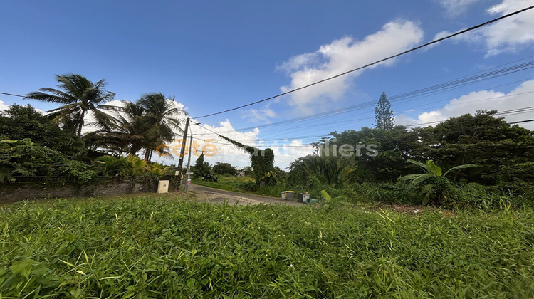 Ma-Cabane - Vente Terrain PETIT-BOURG, 637 m²