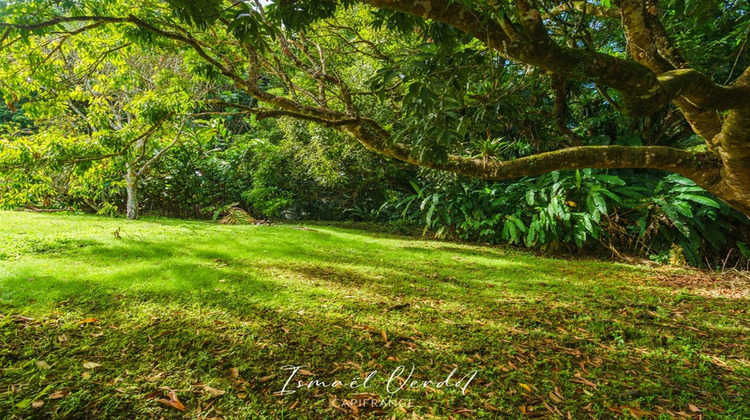 Ma-Cabane - Vente Terrain PETIT BOURG, 887 m²