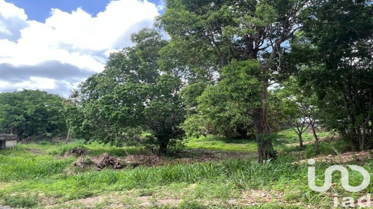 Ma-Cabane - Vente Terrain Petit-Canal, 5950 m²