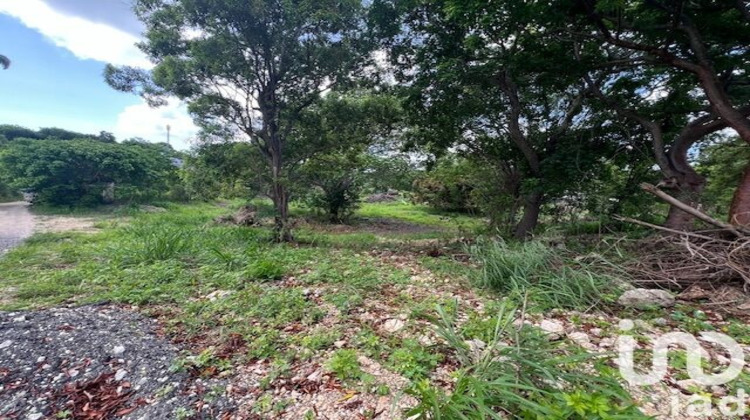 Ma-Cabane - Vente Terrain Petit-Canal, 5950 m²